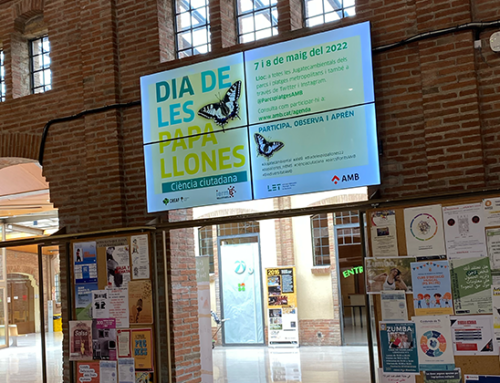 Digital Signage in Sant Boi